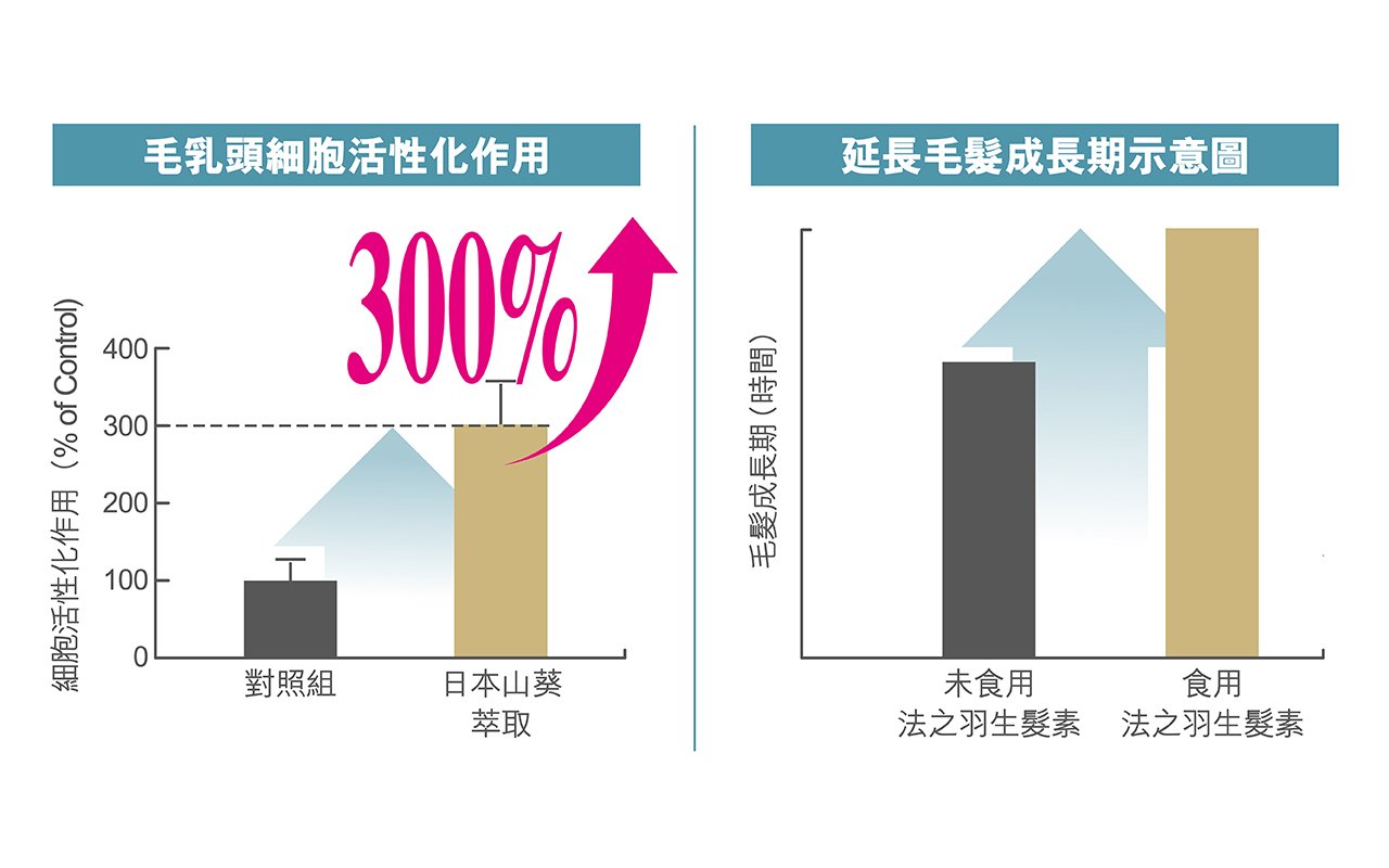 Kaminowa_Chart
